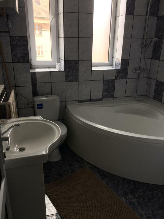 Apartament Garsoniera Mandrilor Slănic Zewnętrze zdjęcie